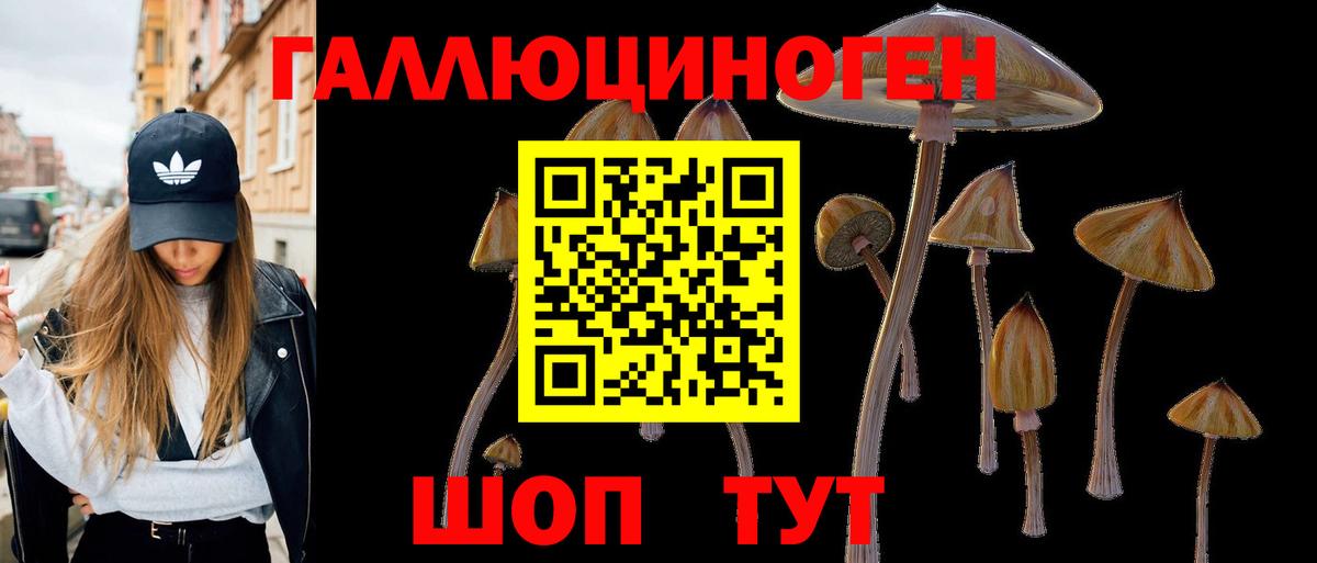 купить закладку  Вход с VPN  Ноябрьск  Галлюциногенные грибы Psilocybine cubensis  Псилоцибиновые грибы Cubensis 