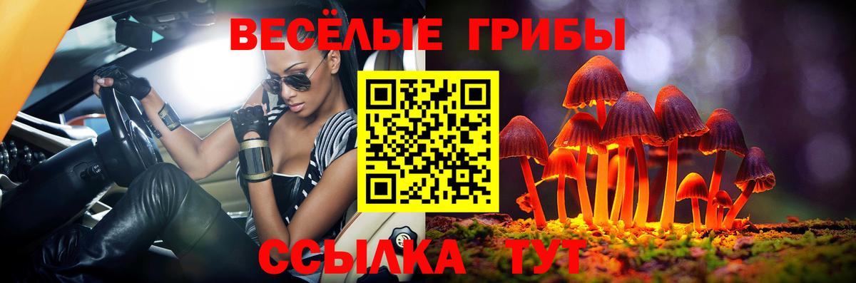 Псилоцибиновые грибы Cubensis Ноябрьск